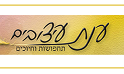 תחפושות לפורים ענת