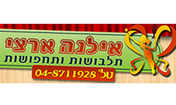 תחפושות לפורים אילנה ארצי
