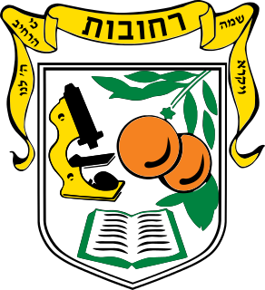 חגיגת פורים ברחובות 2025